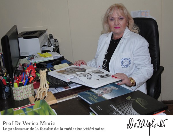 Prof Dr Verica Mrvić